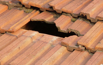 roof repair Gamblesby, Cumbria